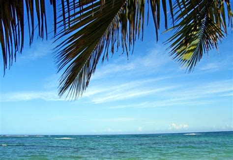 Station balnéaire de Punta Cana en 2021 - vacances, prix, attractions