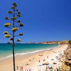 Nyaralás Tunéziában 2021 áprilisában - árak, tenger, időjárás