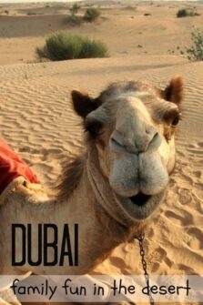 Wisata terbaik di Dubai - harga dan pengalaman kami di tahun 2021