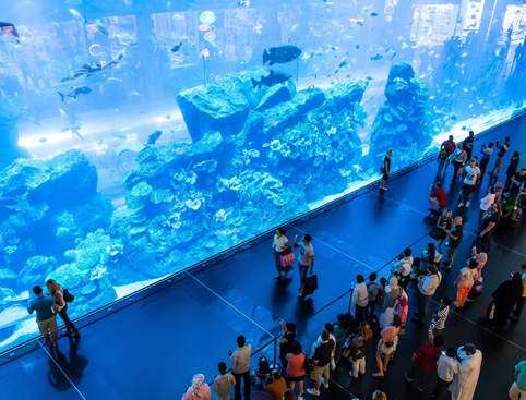 Aquário no Dubai Mall - opiniões e preços em 2021