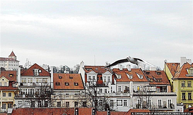 Cum se ajunge la Praga ieftin - Secretele economiei