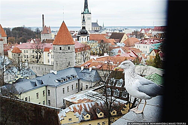 Comment se rendre à Tallinn depuis Moscou et Saint-Pétersbourg