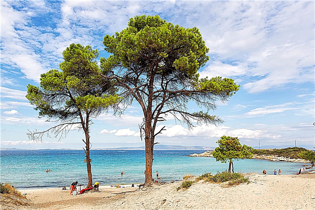 Halkidiki: reviews of tourists and travel tips - 2021