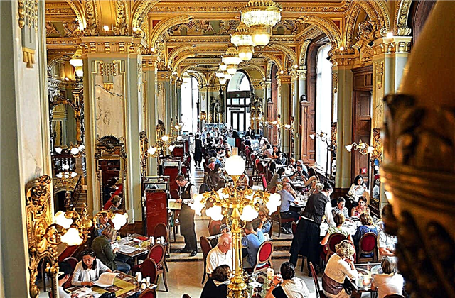 6 Budapestin parasta ravintolaa, joissa on kansallista ruokaa