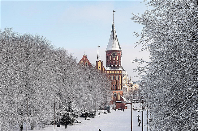 Naar Kaliningrad in de winter: 7 ideeën! Moet ik gaan? Wat te zien?