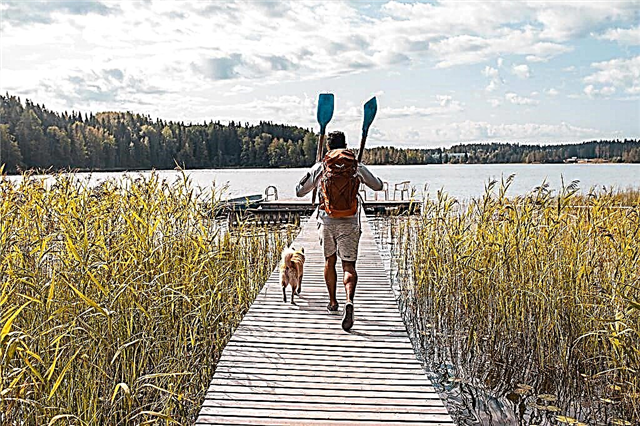 Poceni rekreacijski centri v Kareliji. Cene - 2021
