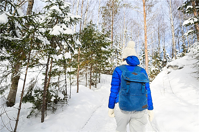 Nyår - 2021 i Karelen: rekreationscenter, priser, recensioner