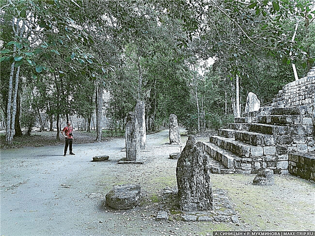 고대 마야 도시 Calakmul-평온한 곳