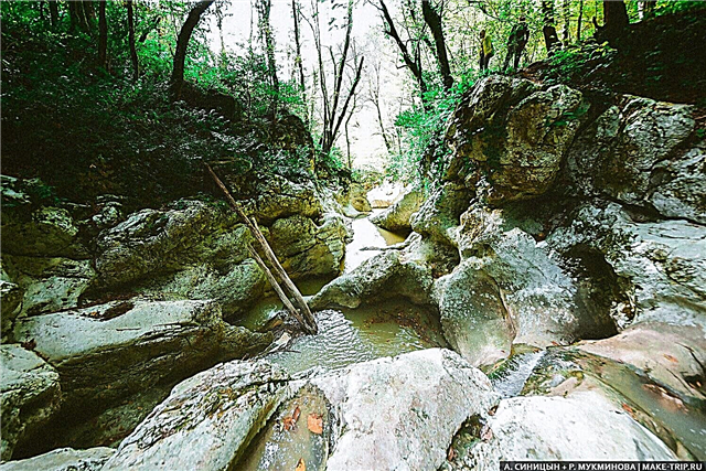 Agursky waterfalls and gorge in Sochi: route, photo, how to get there