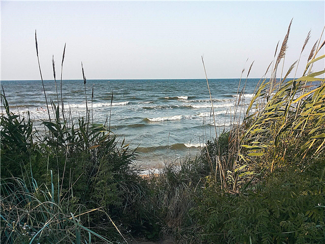 Почивка с палатки на Азовско море: в къмпинги и диваци