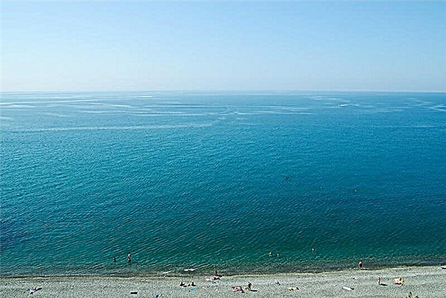 Holidays in Sochi with children - 2021. The best beaches and hotels