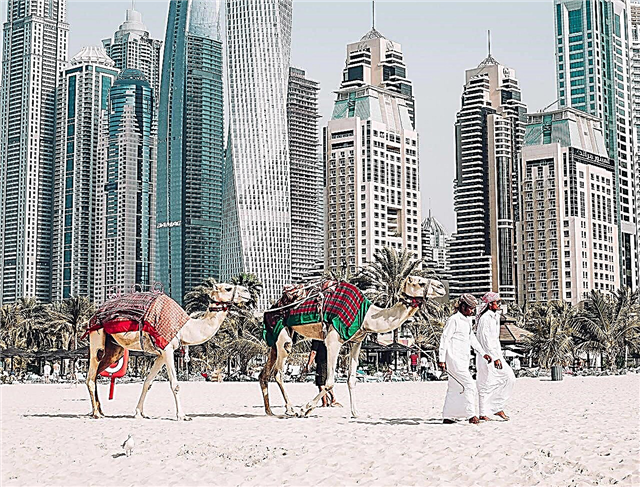 الإمارات العربية المتحدة في يوليو 2021. مكان الاستراحة والطقس والاستعراضات