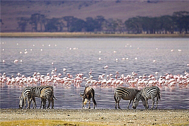 30 famous lakes in Africa
