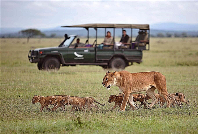 Tanzanya'daki en ünlü 20 milli park