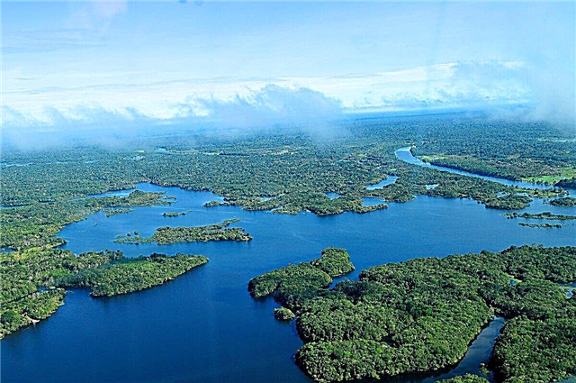 30 größte Flüsse in Brasilien