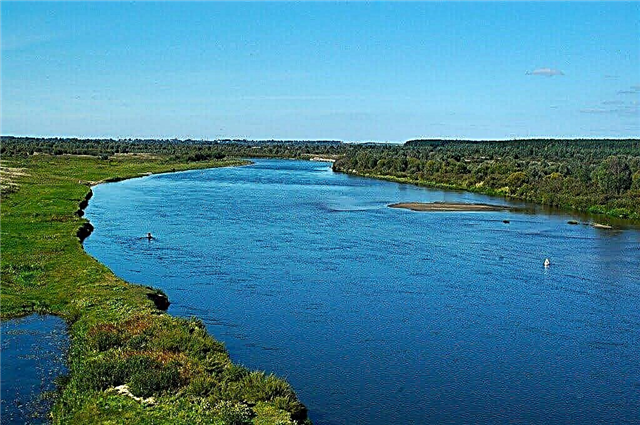 30 de râuri principale din Belarus
