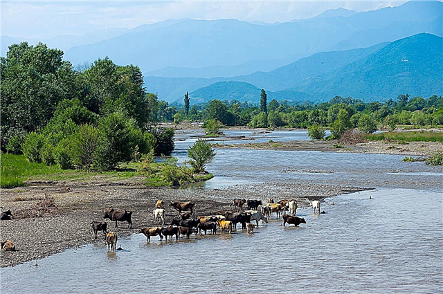 20 belangrijkste rivieren van Georgië