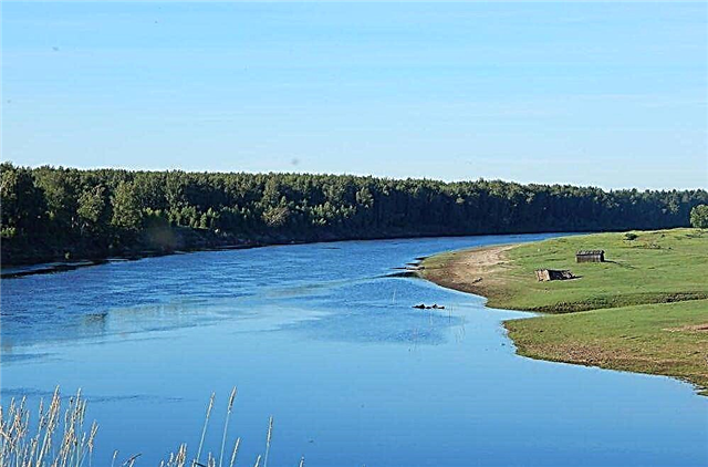 25 grootste rivieren van de regio Tomsk