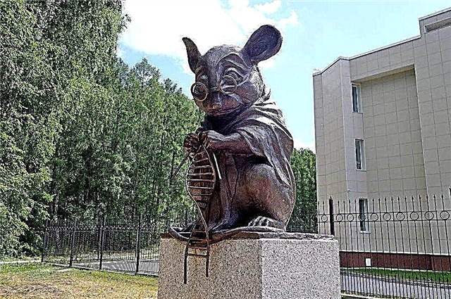 30 monumen populer Novosibirsk
