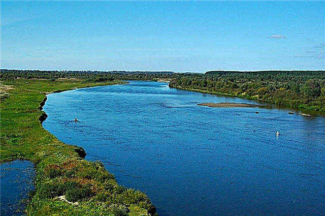 30 largest rivers of the Smolensk region