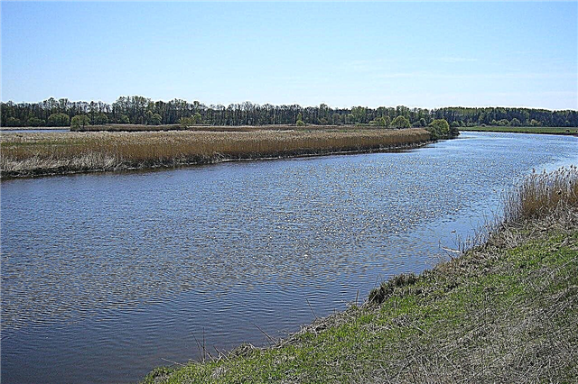 20 أكبر نهر في منطقة بريانسك