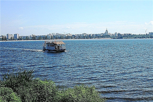 25 sungai utama di wilayah Voronezh
