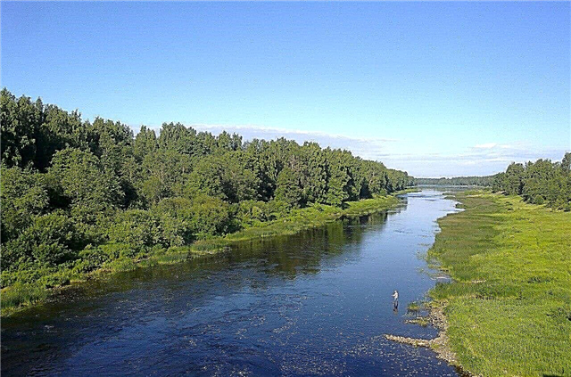 30 principaux fleuves de la région de Léningrad