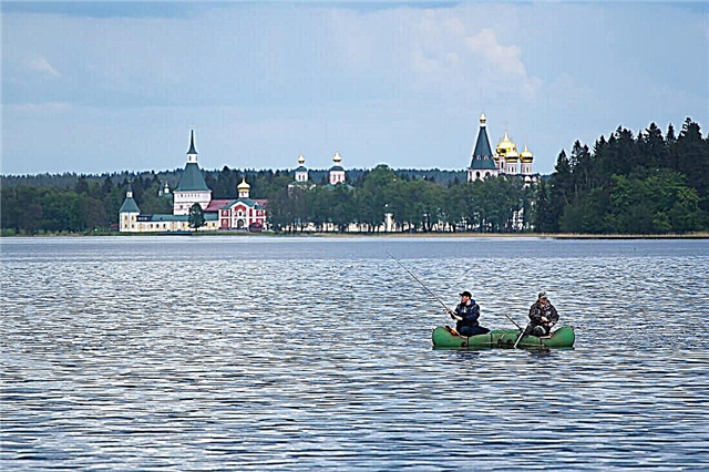 30 lagos principales de la región de Novgorod
