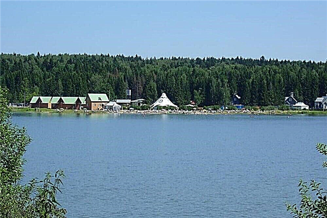 30 popular lakes of the Moscow region