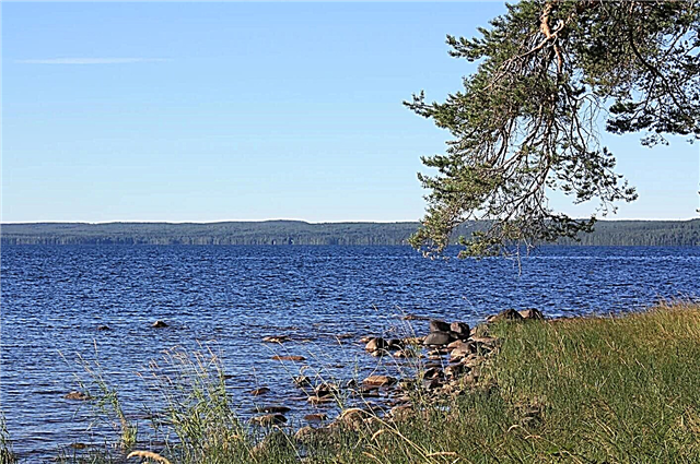 30 lagos populares na região de Leningrado