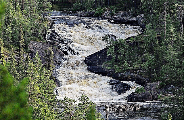 20 mejores cascadas en Karelia