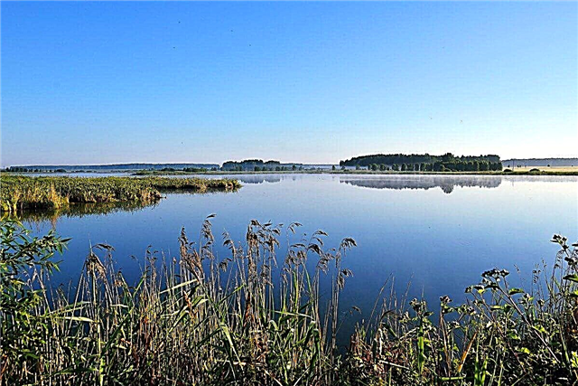30 principaux lacs de la région de Sverdlovsk