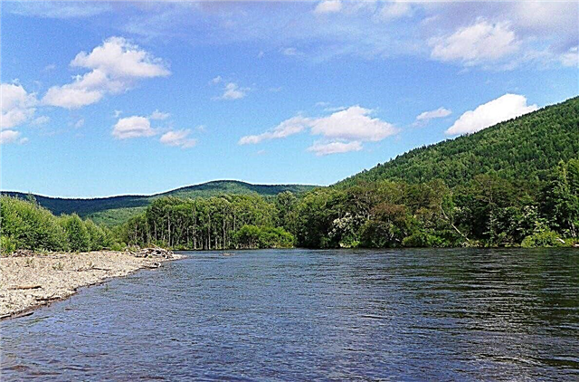 25 نهراً رئيسياً في إقليم خاباروفسك