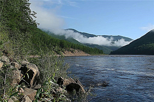 Cele mai mari 25 de râuri din Yakutia