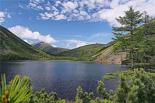 25 vigtigste søer i Khabarovsk-territoriet