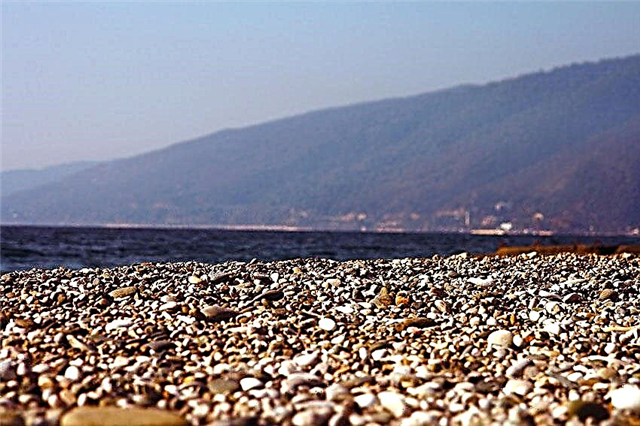 De bästa sandstränderna i Abchazien, vila i Gagra, Pitsunda, Sukhumi, nya Athos