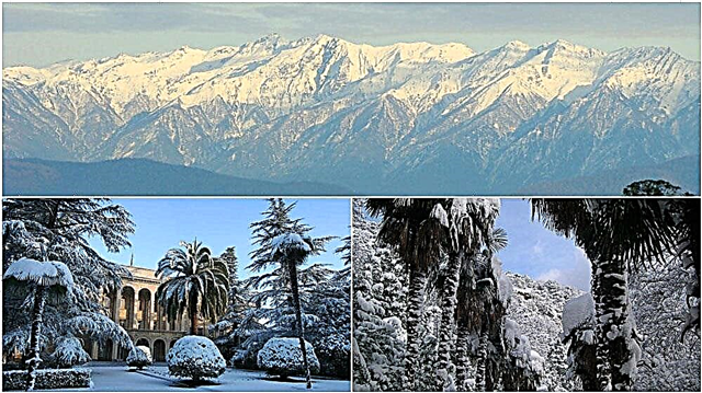 Výlet do Abcházie v zimě, kdy je nejlepší čas na cestu, ceny a recenze