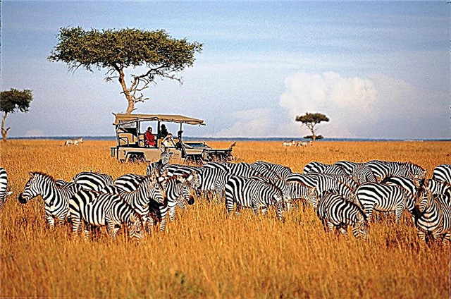Excursion tour to Kenya from Moscow, prices