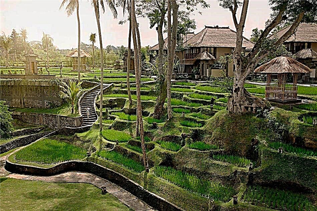 TOP attractions in Bali for tourists