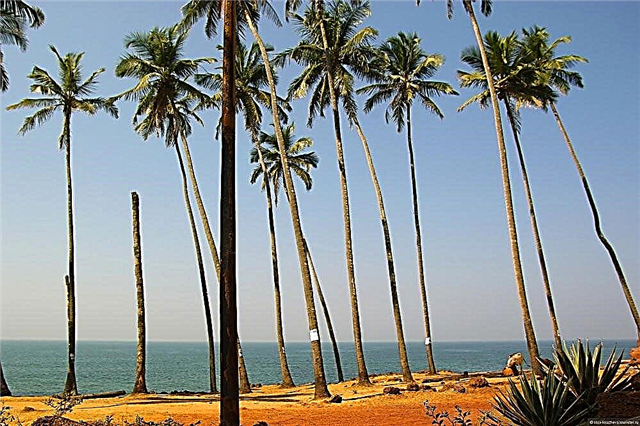 Vacances à la plage à Goa - 2021 : tarifs, avis, quand partir