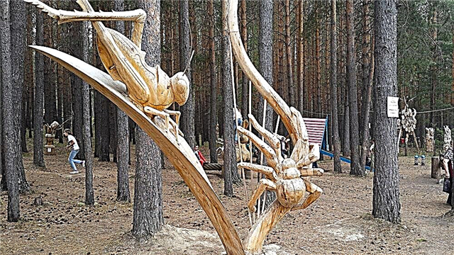Im Dorf Savateevka . fand ein Wettbewerb für Holzskulpturen Lukomorye statt