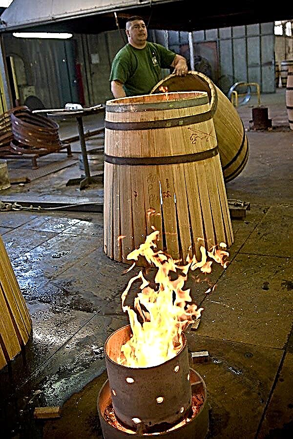 Oak wine barrels or how to get delicious wine from a barrel