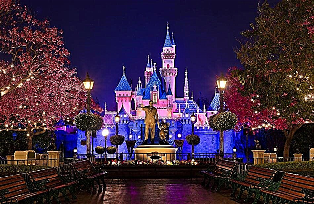 Vergnügungspark - Disneyland in Paris: Preise, Anfahrt