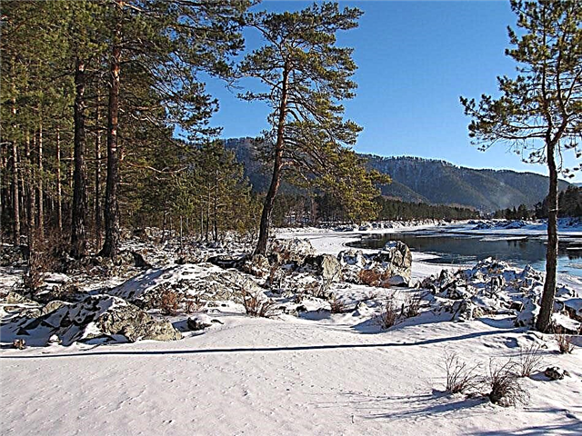 Où se détendre en hiver avec votre famille - Finlande, Bulgarie, Veliky Ustyug