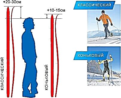 How to choose cross-country skis, we make the right choice of all types of cross-country skis