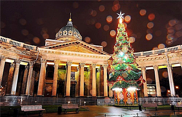 عطلات العام الجديد في سانت بطرسبرغ والأسعار والبرنامج ، إلى أين أذهب