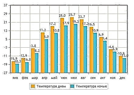 Prices for holidays in Yarovoe (Altai Territory)