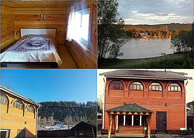 Holidays in Altai for the New Year 2022