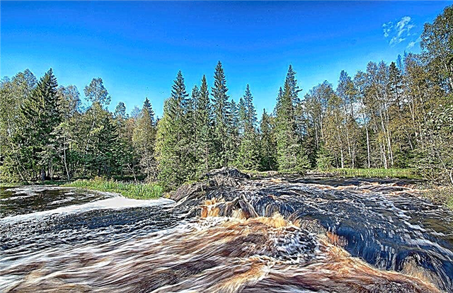 Rest in Karelia in the summer - where to go, prices for recreation centers
