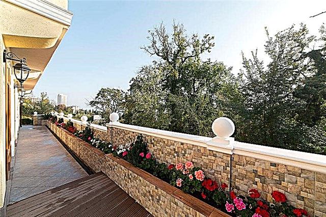 Hotel ‘Garden’ in Sochi, my review, how to book a room at low prices